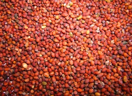 MOSTAZA ROJA GRANO BOTER